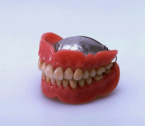 Photo of False Teeth