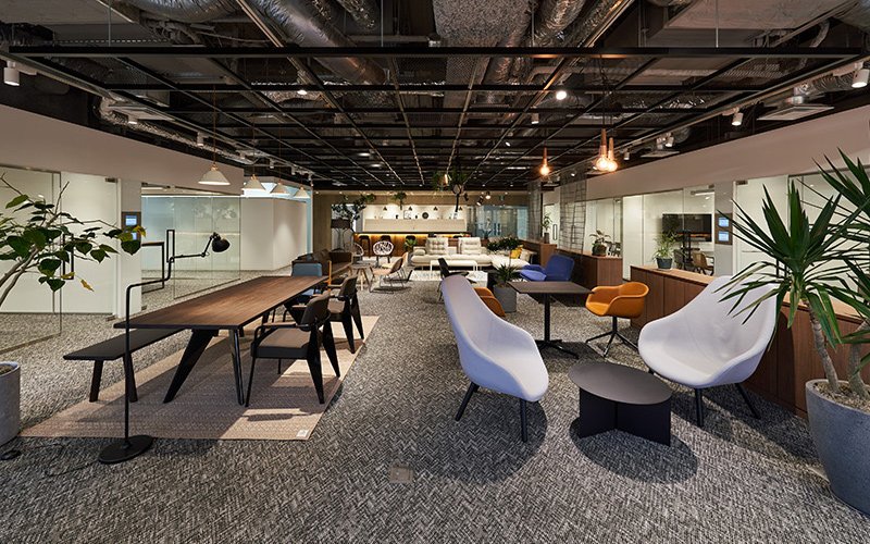 Spacious office with exposed ceiling, long table with chairs, sofas, potted plants, and glass-walled meeting rooms