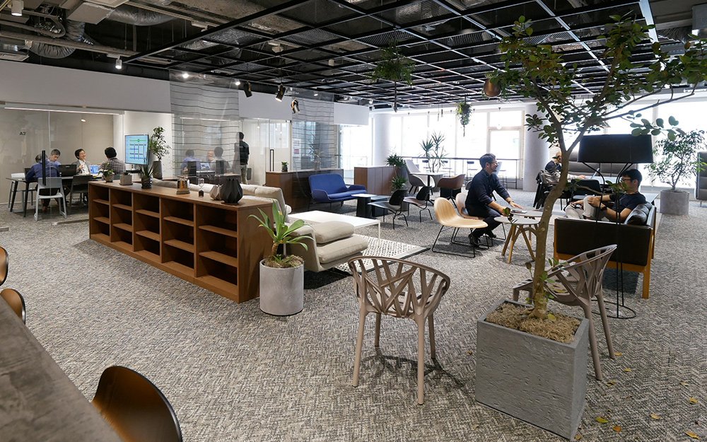 Open-plan office space with carpet flooring, wooden shelving, various chairs, potted plants, glass-walled meeting rooms, and several people working
