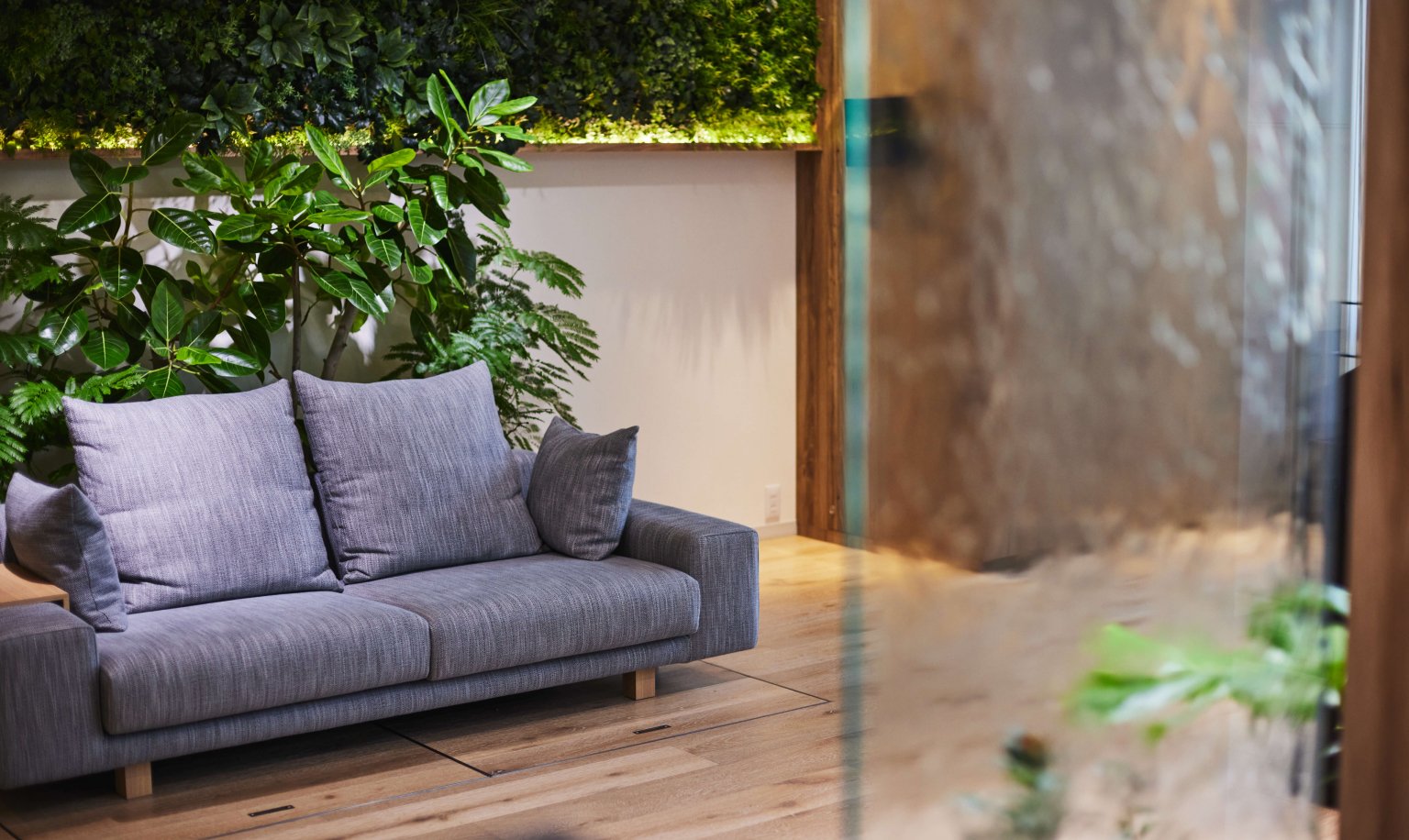 A space viewed through glass, featuring a gray sofa, green indoor plants, wooden flooring, and a planting panel on the wall, illuminated by natural light inside.