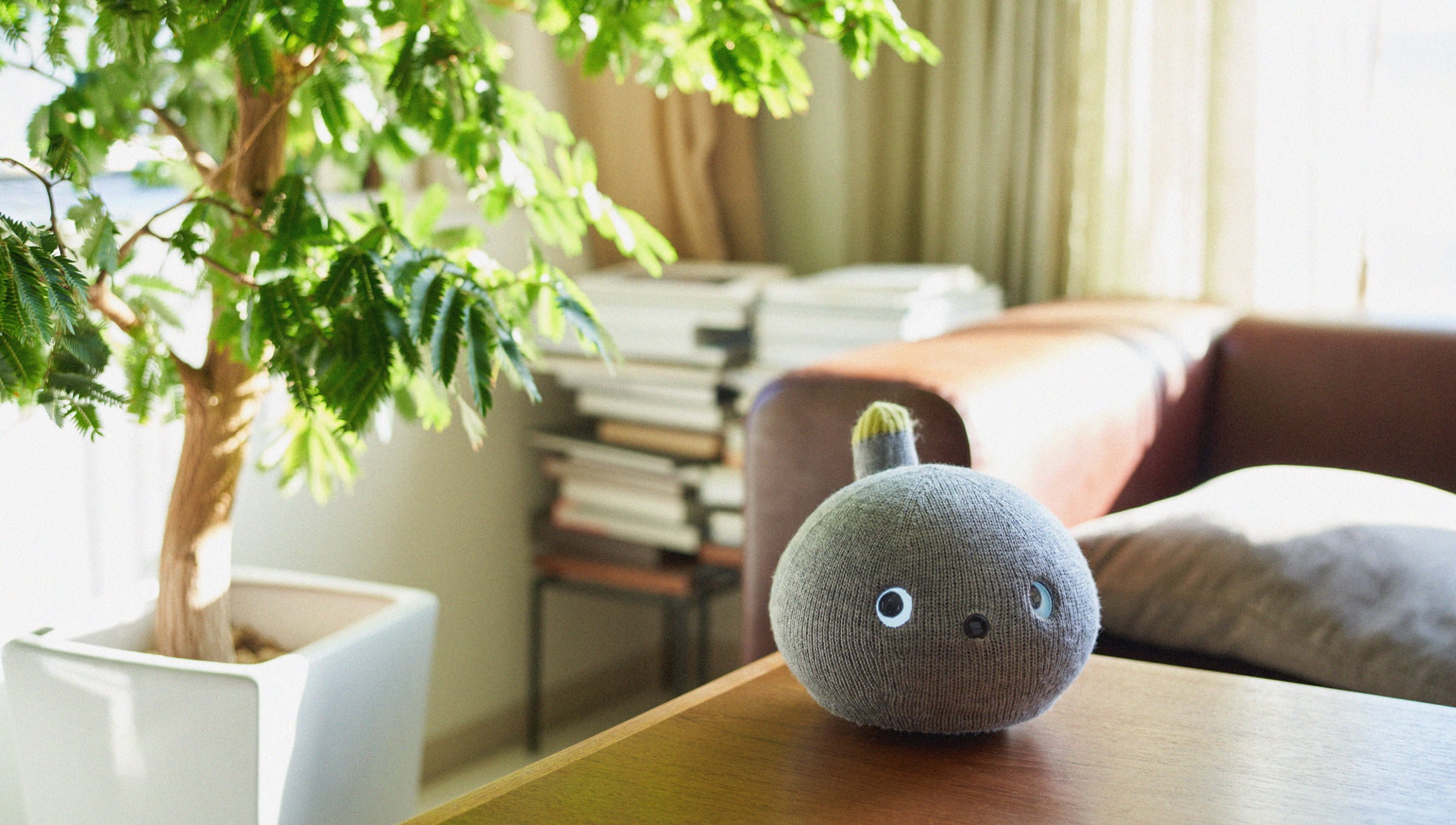 Round object on table by sofa, communication robot Nicobo, brightly lit room with houseplants and bookshelves behind.