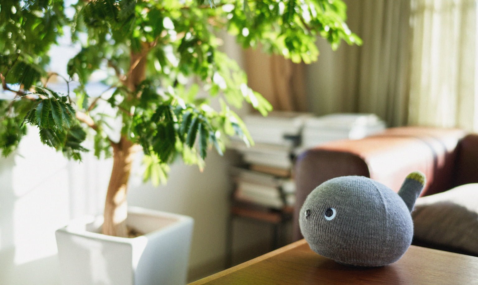 A NICOBO placed on the table beside the sofa