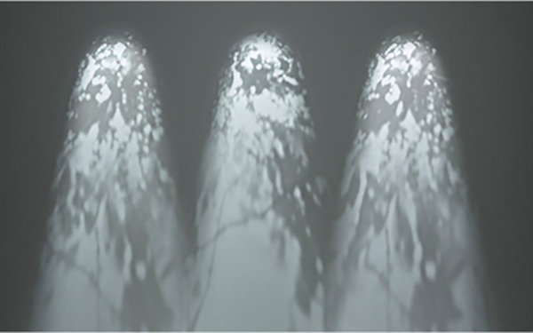 photo:Light projector BioSHADOW