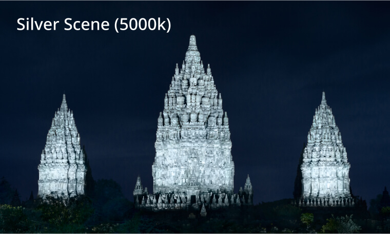 Silver Scene (5000k)