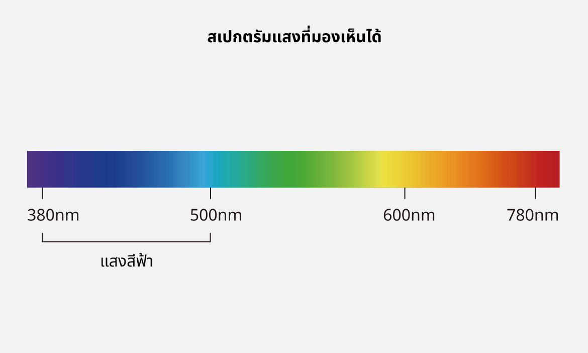 สเปกตรัมแสงที่มองเห็นได้