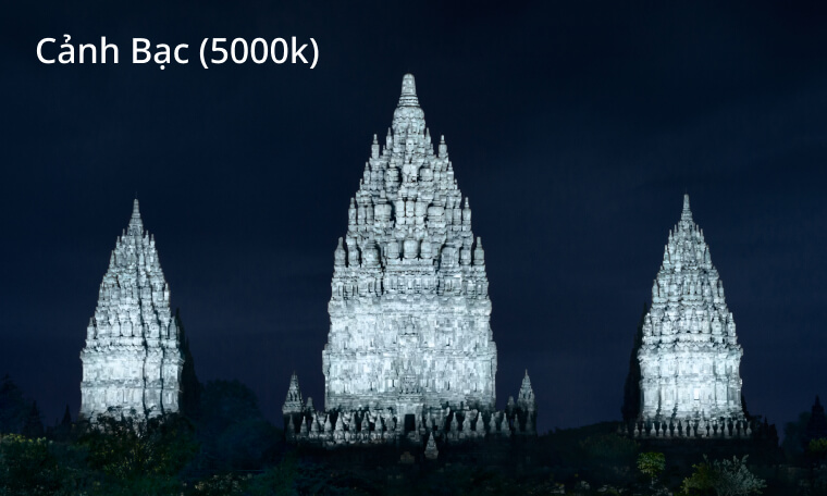 Cảnh Bạc (5000k)