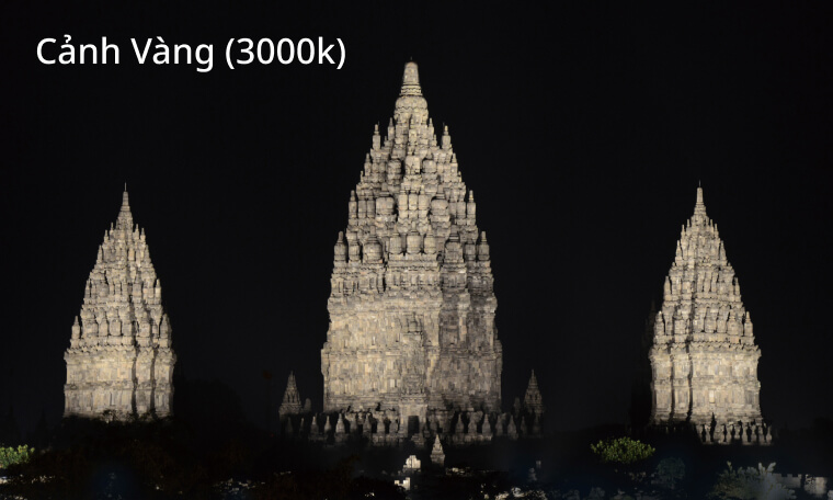 Cảnh Vàng (3000k)
