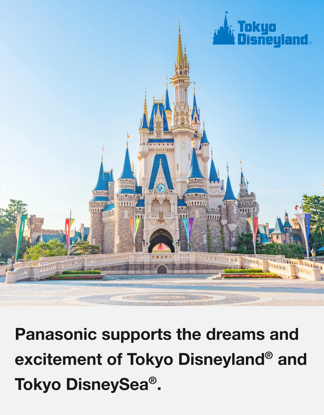 Panasonic supports the dreams and excitement of Tokyo Disneyland® and Tokyo DisneySea®.