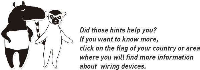 Did those hints help you?If you want to know more,click on the flag of your country or areawhere you will find more information about  wiring devices.