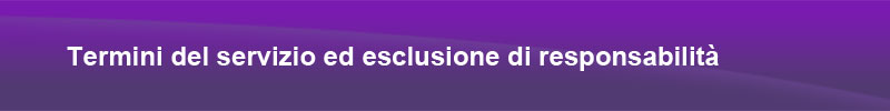 Termini del servizio ed esclusione di responsabilità