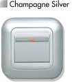 Champagne Silver